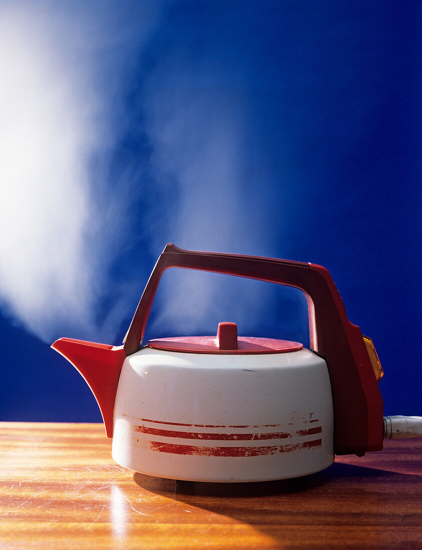 Boiling kettle