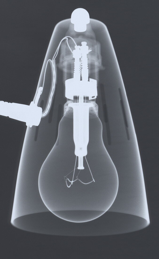 Lamp X-ray