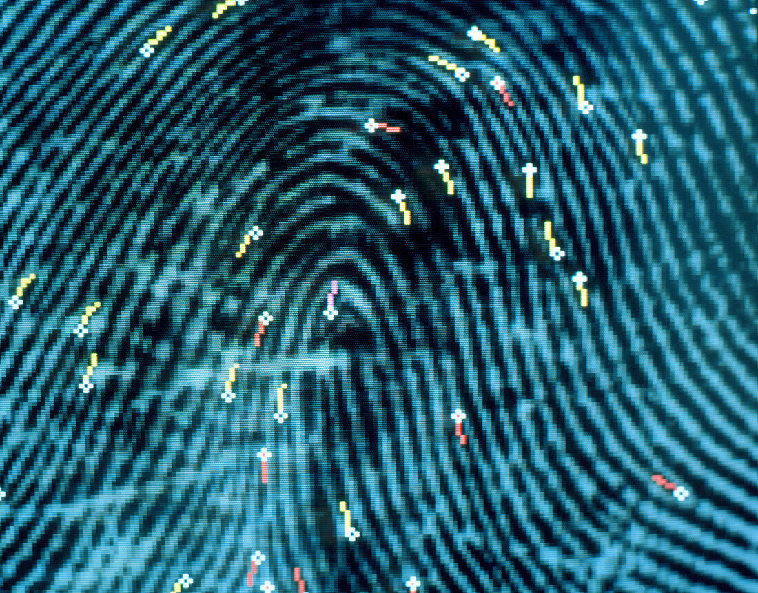 Computer graphic of features marked on fingerprint
