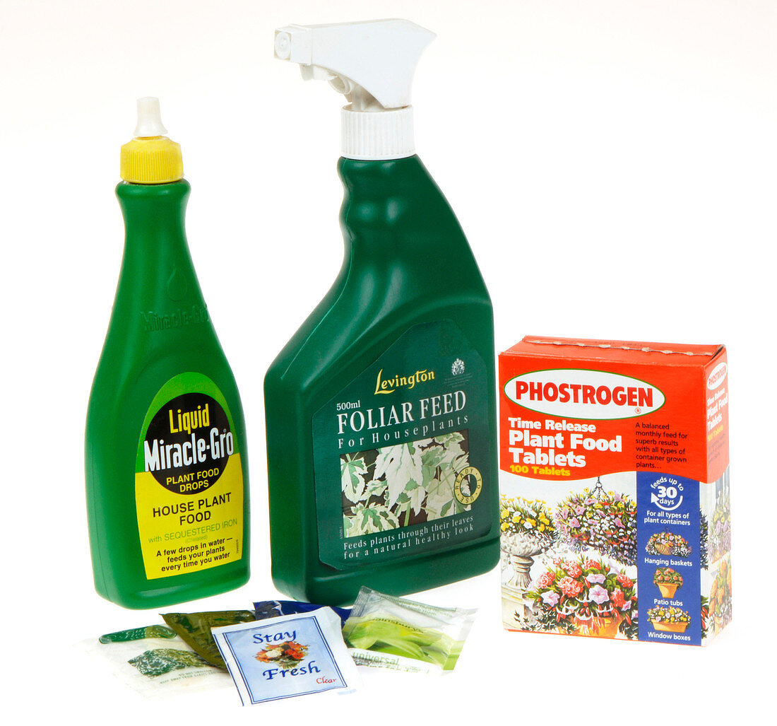 Houseplant food products