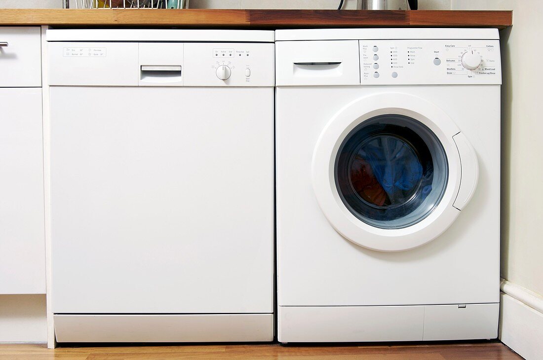 Domestic dishwasher and washing machine