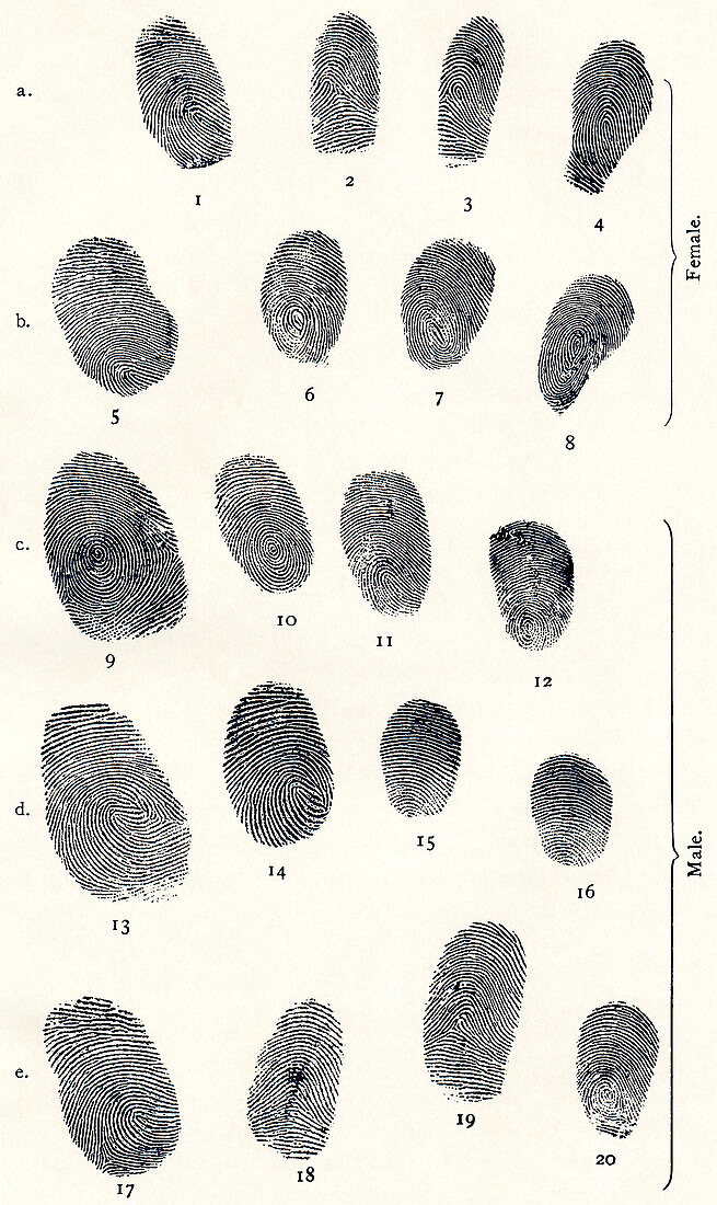 Sets of fingerprints
