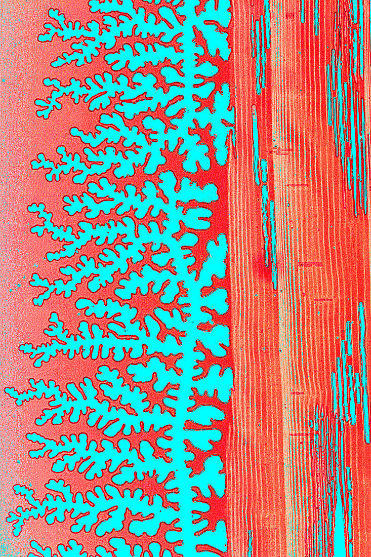 Resin patterns,light micrograph