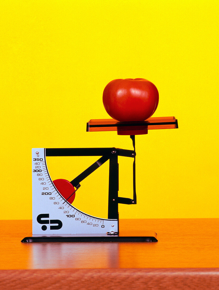 Tomato on a set of weighing scales