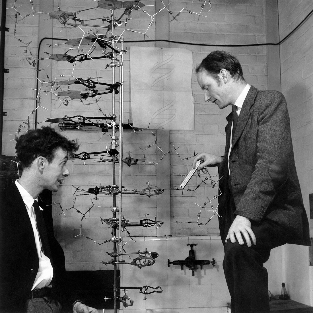 Watson and Crick