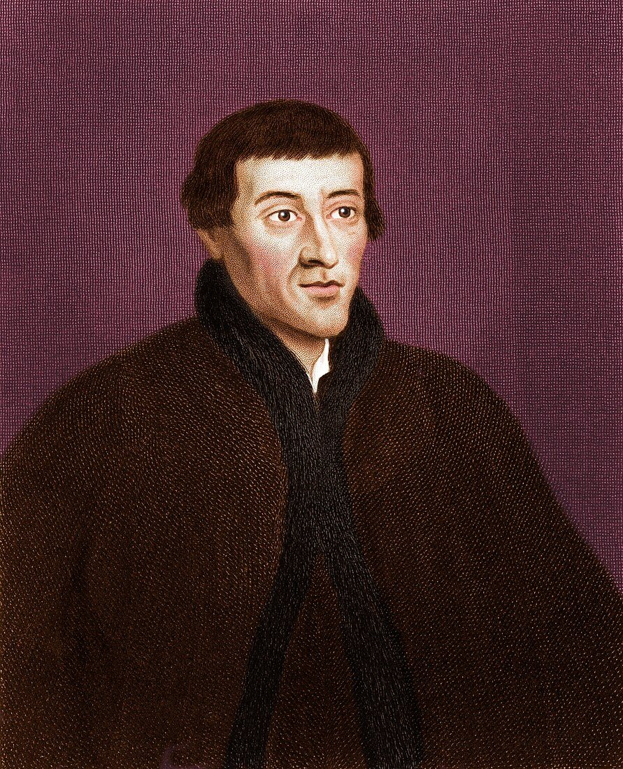 Nicolaus Copernicus,Polish astronomer