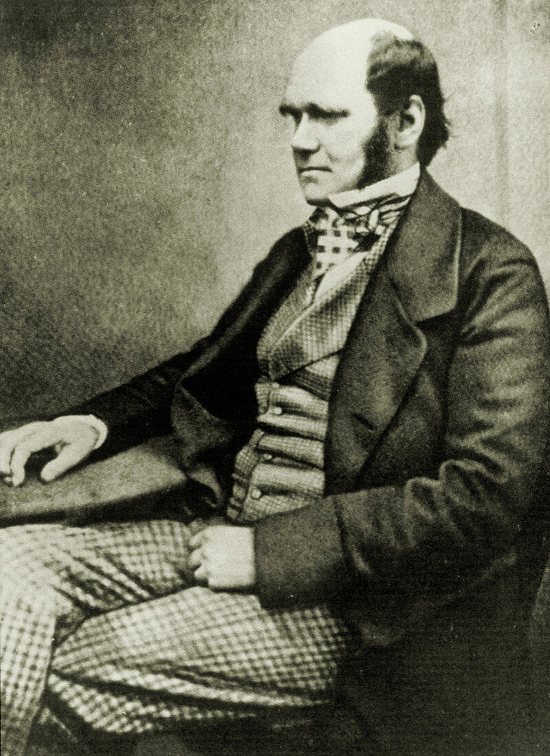 Charles Darwin aged about 50