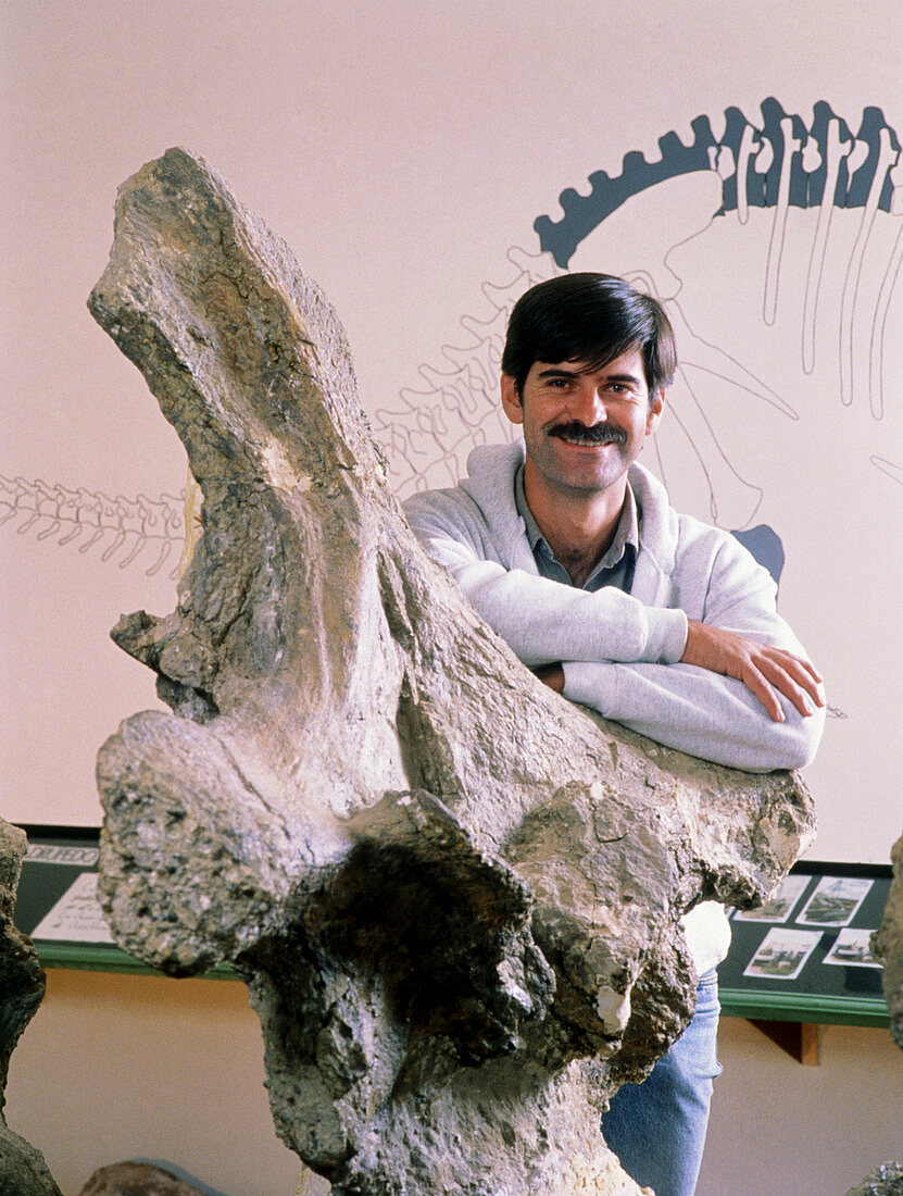 Palaeontologist Rodolfo Coria with dinosaur fossil