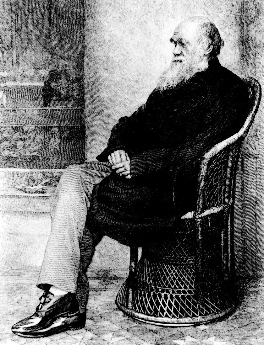 Engraving of Charles Darwin in 1874,aged 65