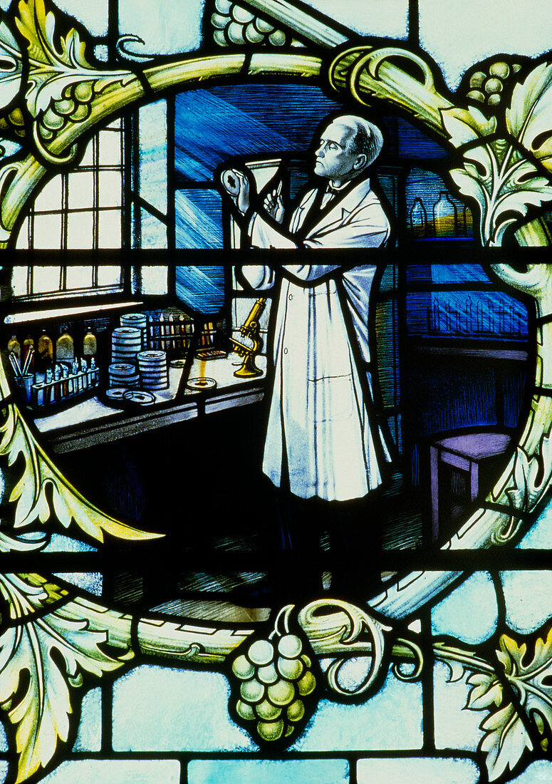 Stained glass effigy of Alexander Fleming,London