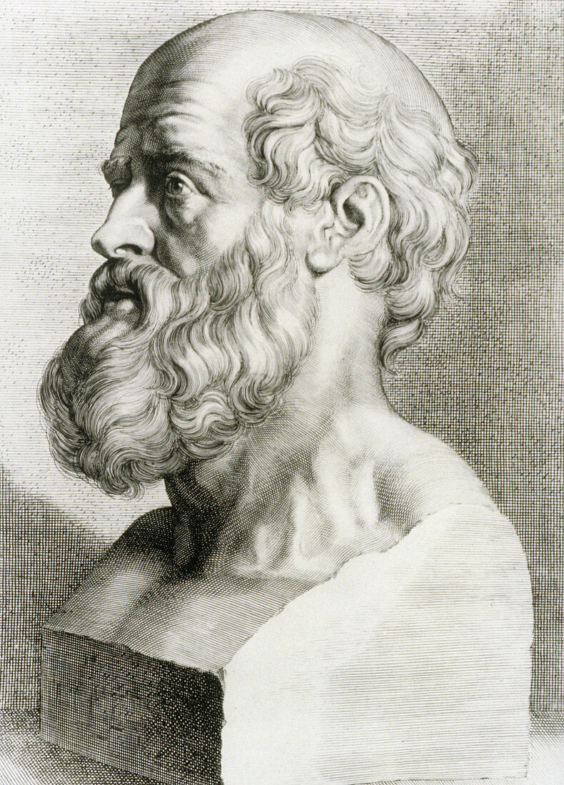 Engraving of bust of Hippocrates