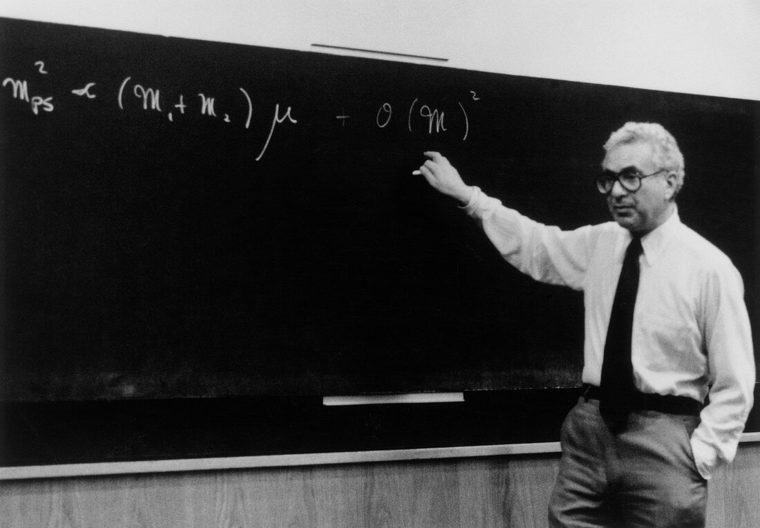 Murray Gell-Mann at CERN,1979