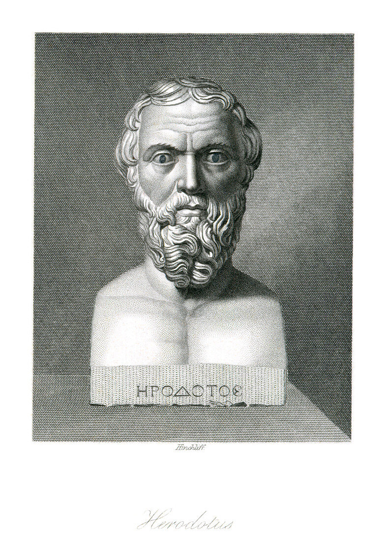 Herodotus,Greek historian,artwork