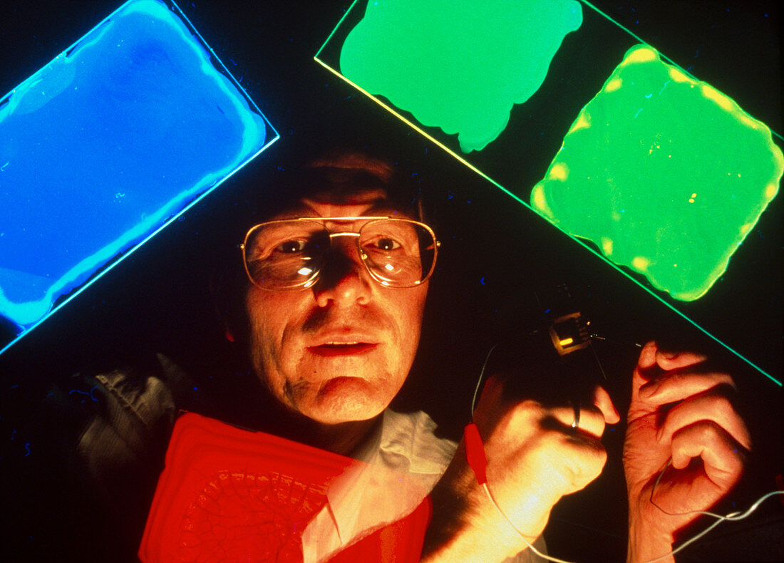 Dr Andrew Holmes with light-emitting plastics