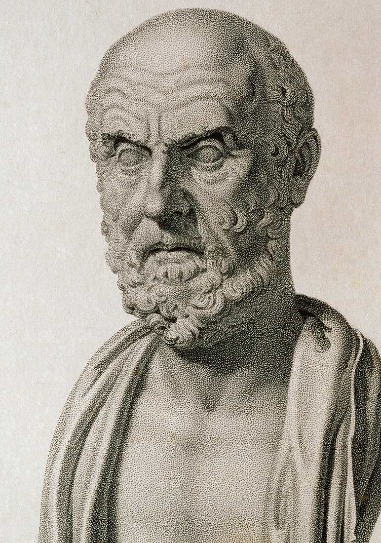 Engraving of Classical Greek bust of Hippocrates