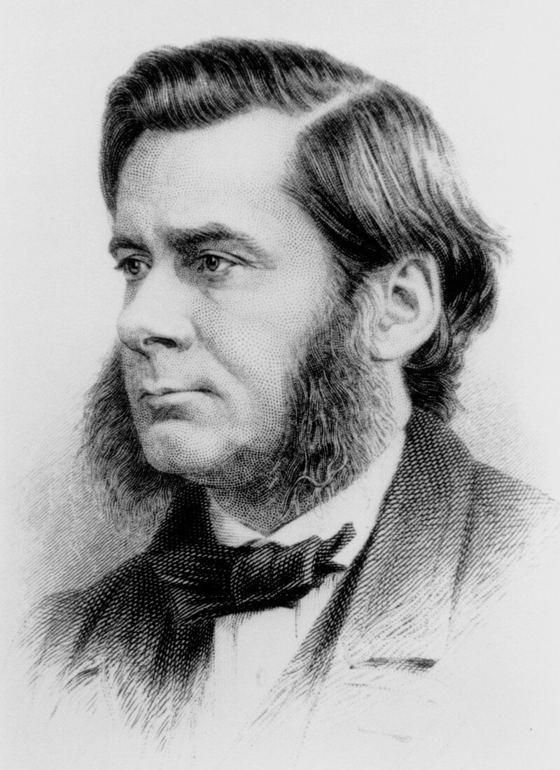 Engraving of biologist Thomas Huxley,in 1874