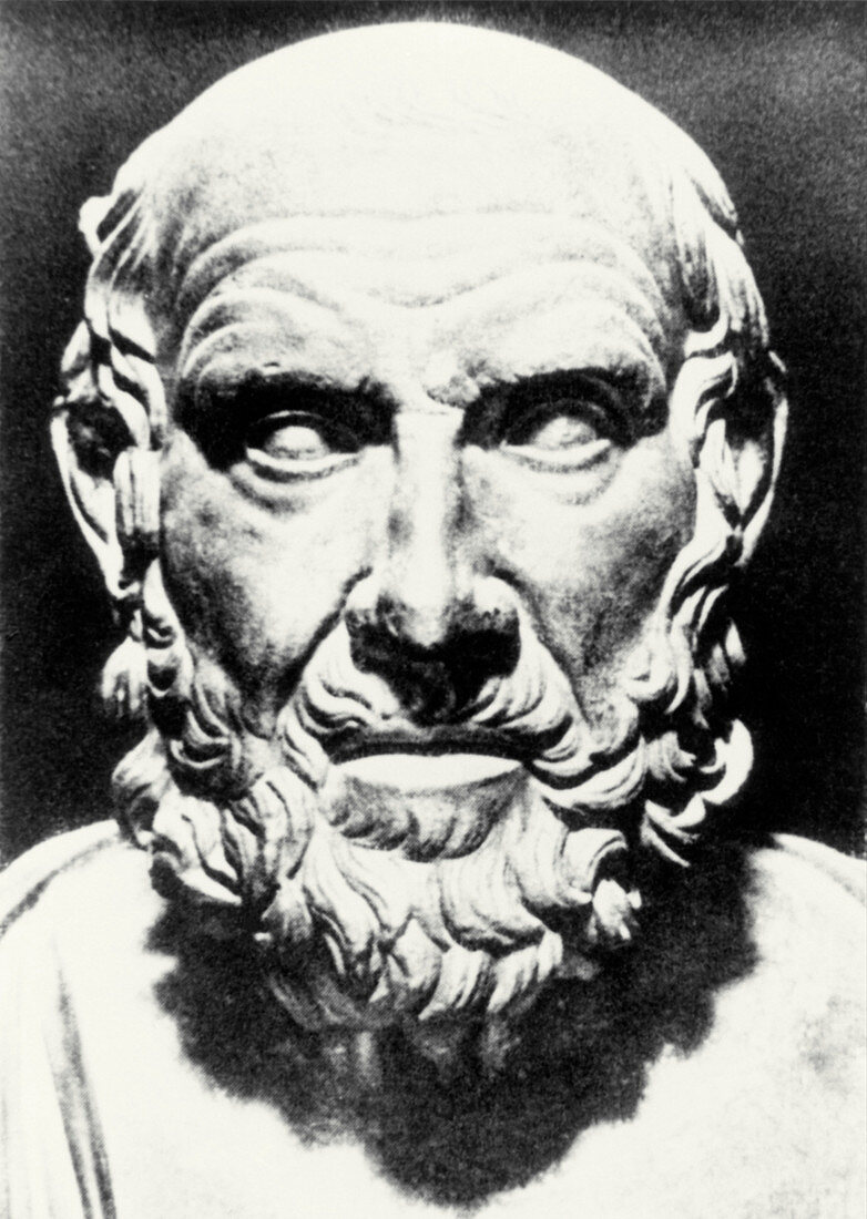 Bust of Greek physician Hippocrates