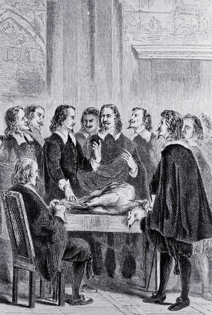 William Harvey lecturing on blood circulation