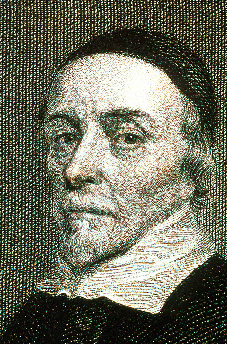 Portrait of the English physician William Harvey