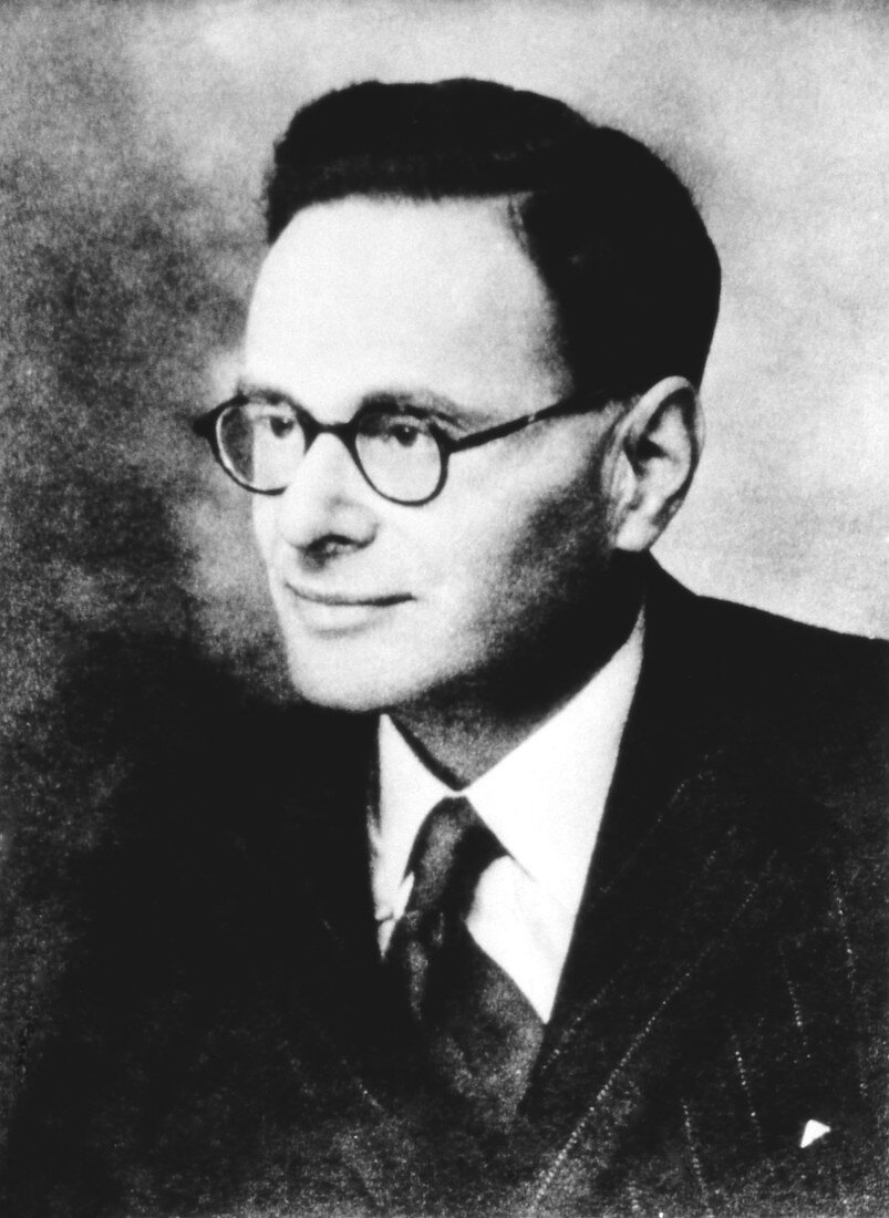 Hans Krebs,German-British biochemist