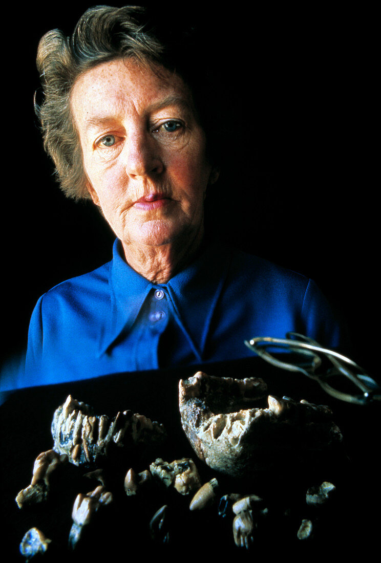 Mary Leakey on site at Laetoli,Tanzania