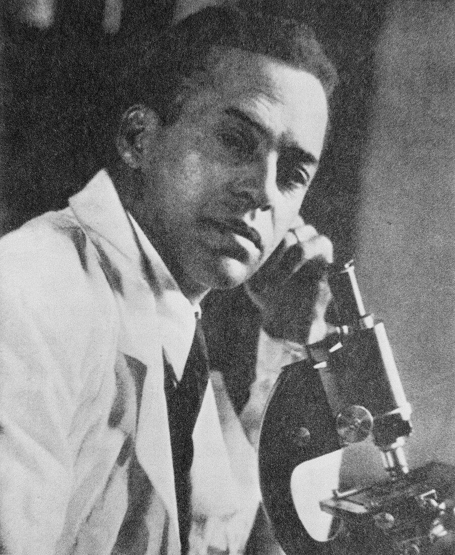 Ernest Just,Afro-American biologist