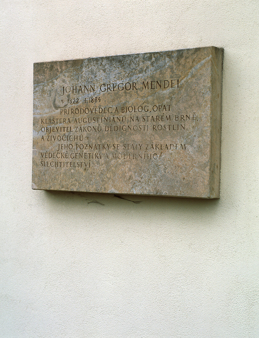 Plaque commemorating Gregor Mendel