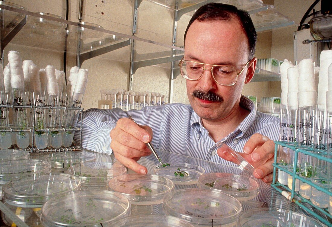 Prof. Somerville,plastic from plants researcher