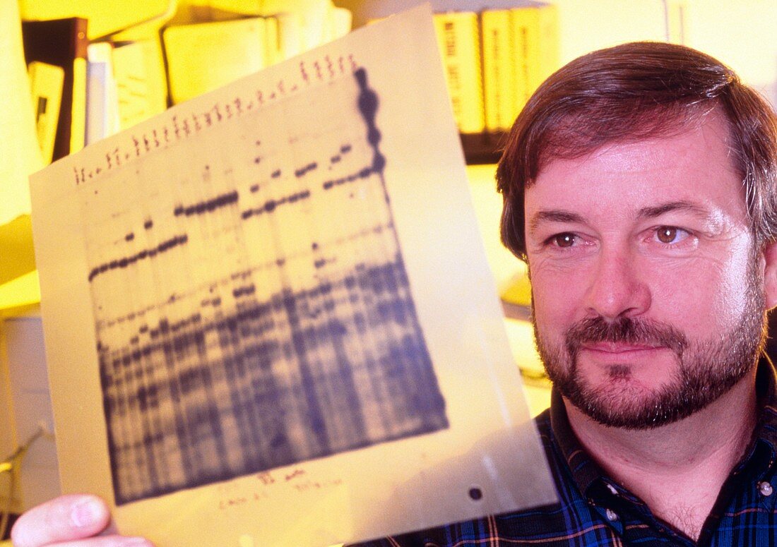 Geneticist,Oliver A. Ryder,with condor DNA map