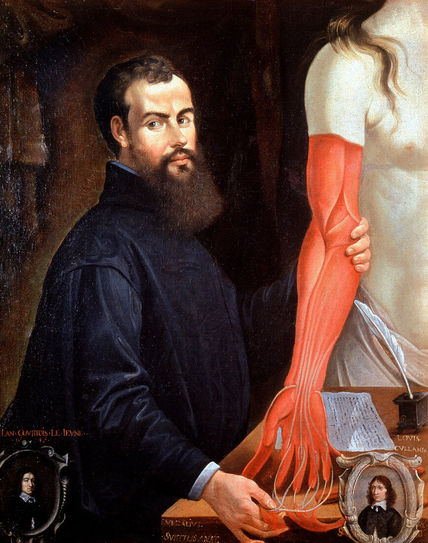 Andreas Vesalius,Belgian anatomist