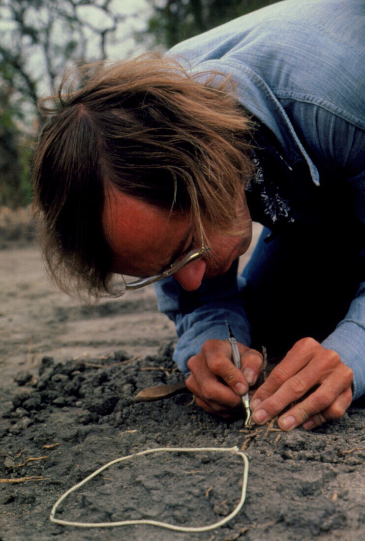 Palaeoanthropologist Tim White