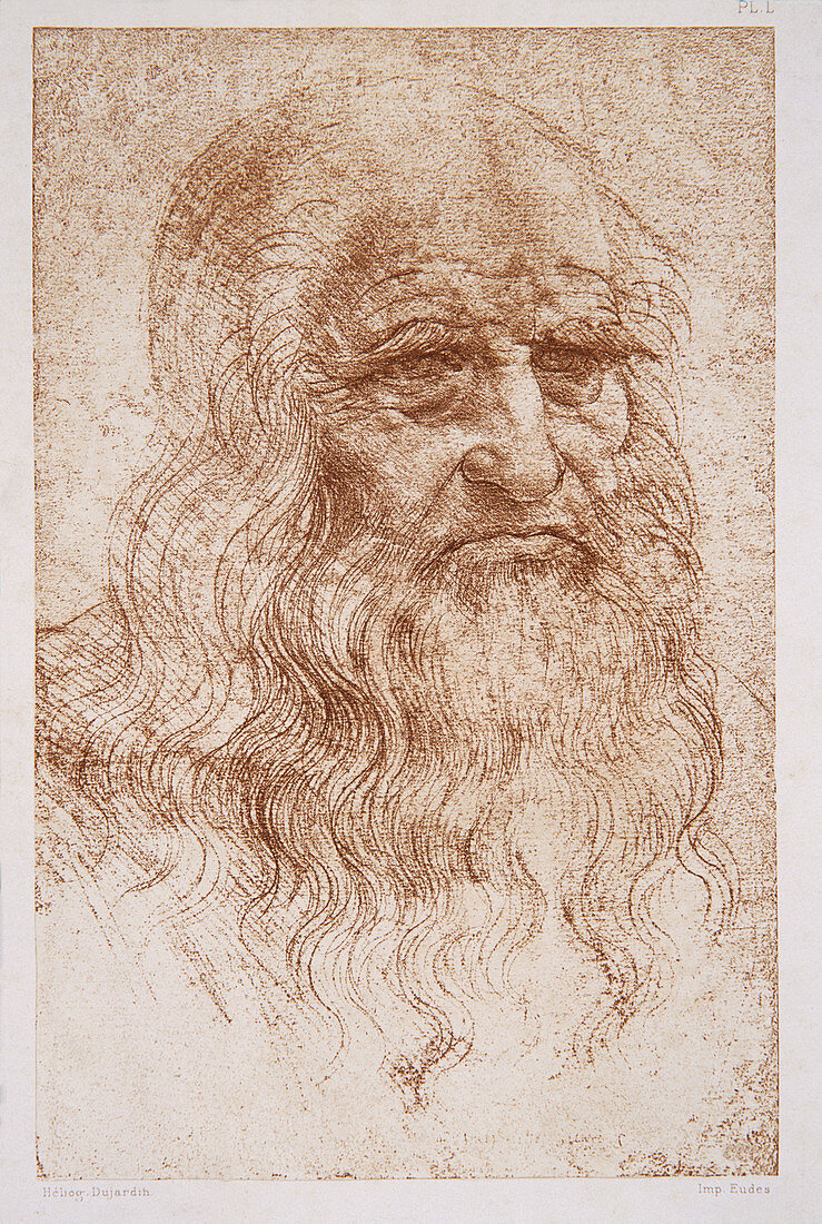Leonard da Vinci,self-portrait