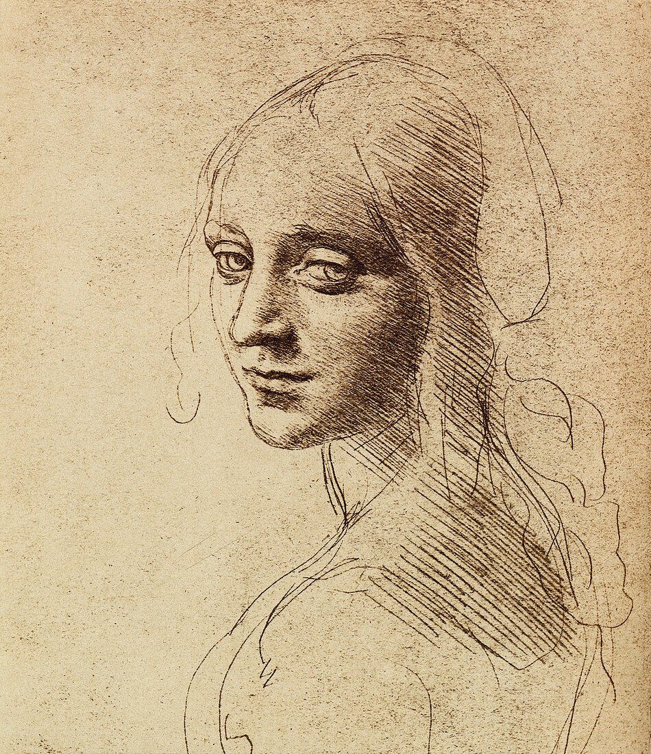 Leonardo da Vinci artwork