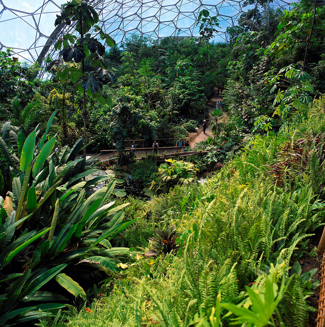 Eden Project Tropics Biome