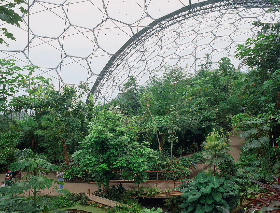 Eden Project tropical Biome