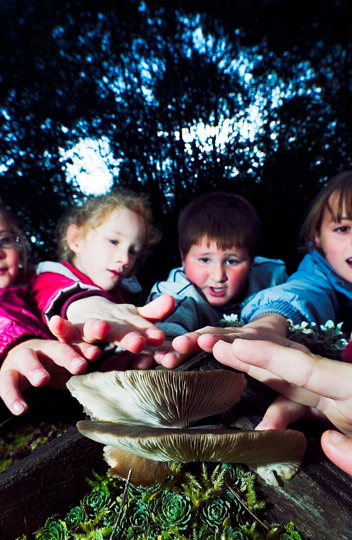 Children reaching out to touch fungi