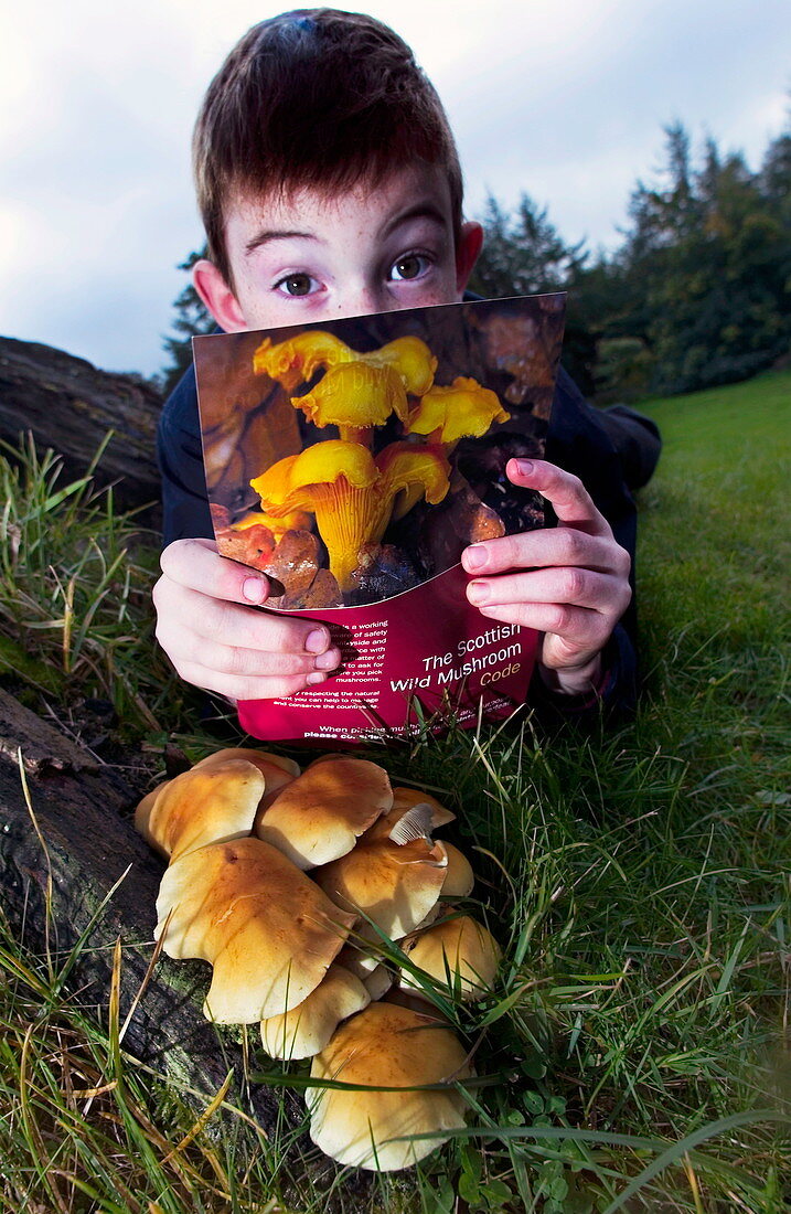Boy learning about fungi