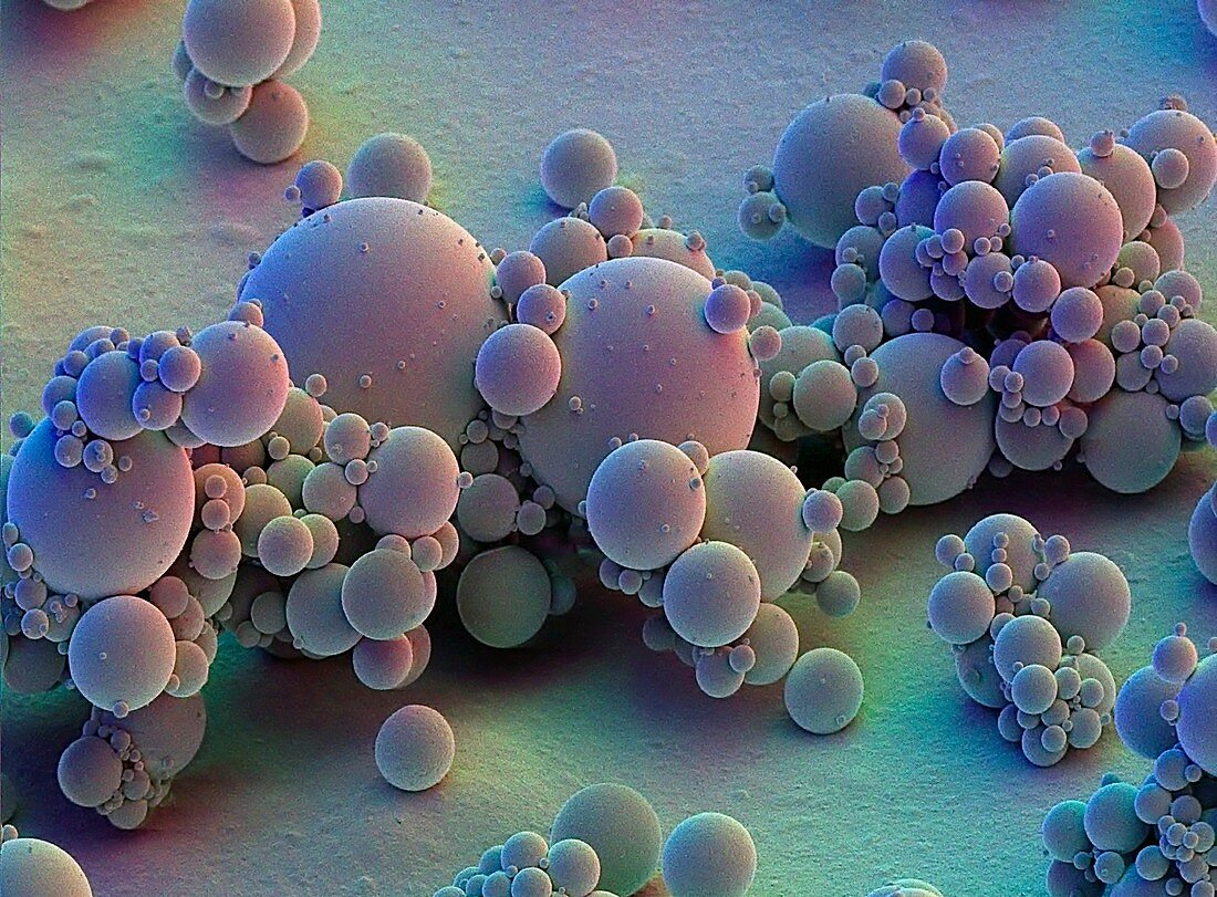 Coloured SEM of microspheres