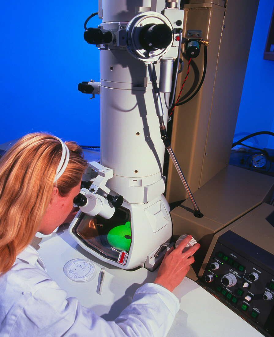 Operator using a TEM microscope