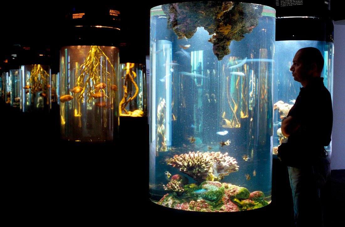 Aquarium hall of cylinders