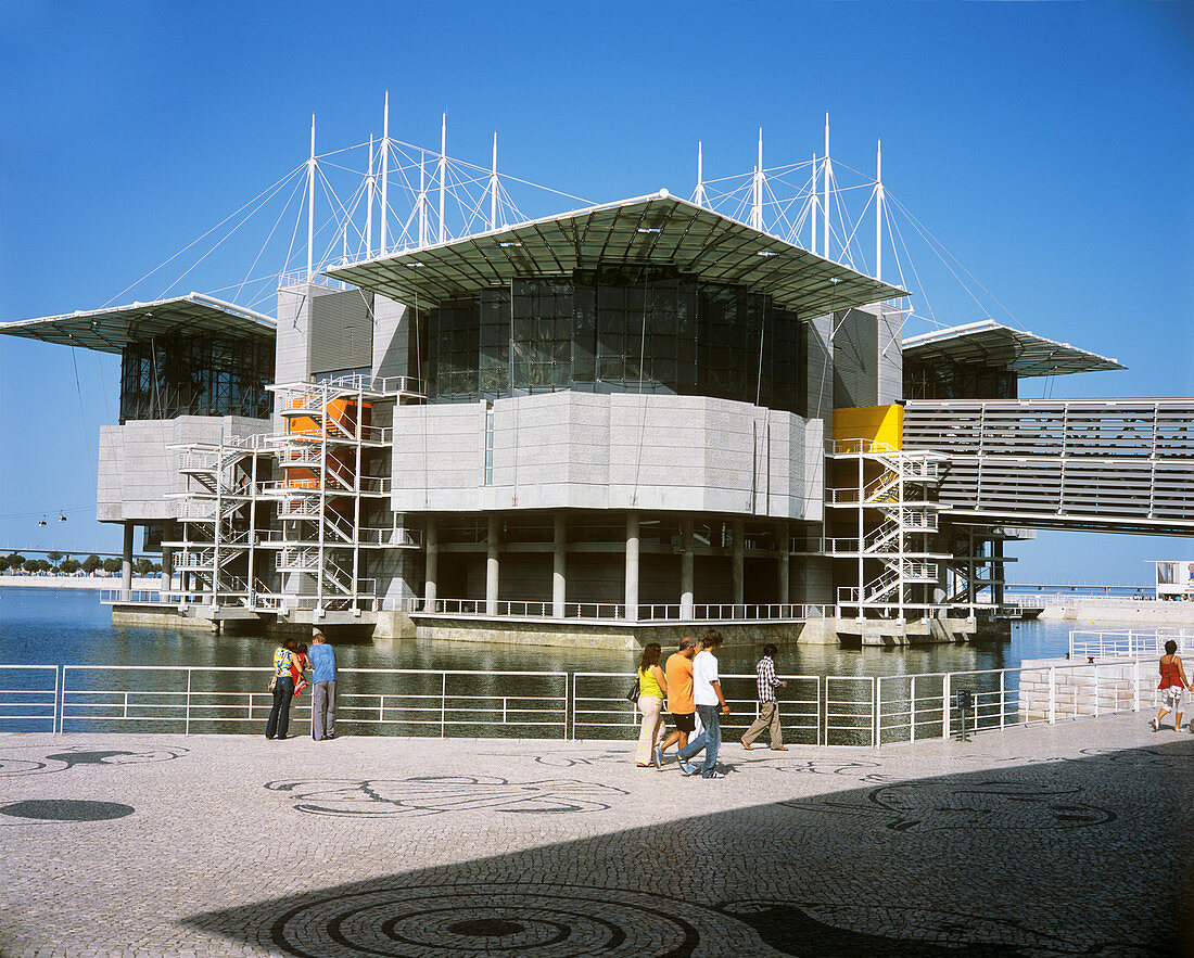Lisbon Oceanarium