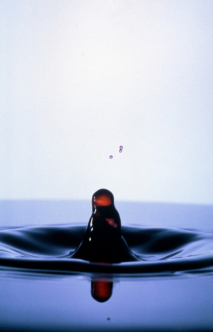 Water column formed after impact of water drop