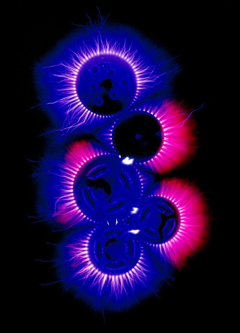 Kirlian photograph of cogs from a watch