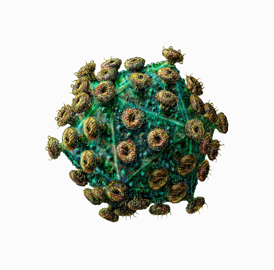 AIDS virus particle