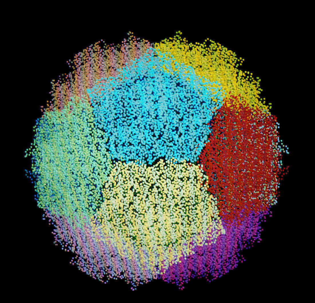 Molecular graphic of a polio virus