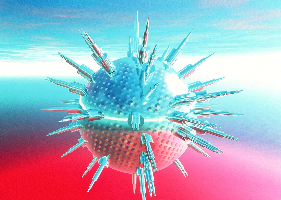 Virus