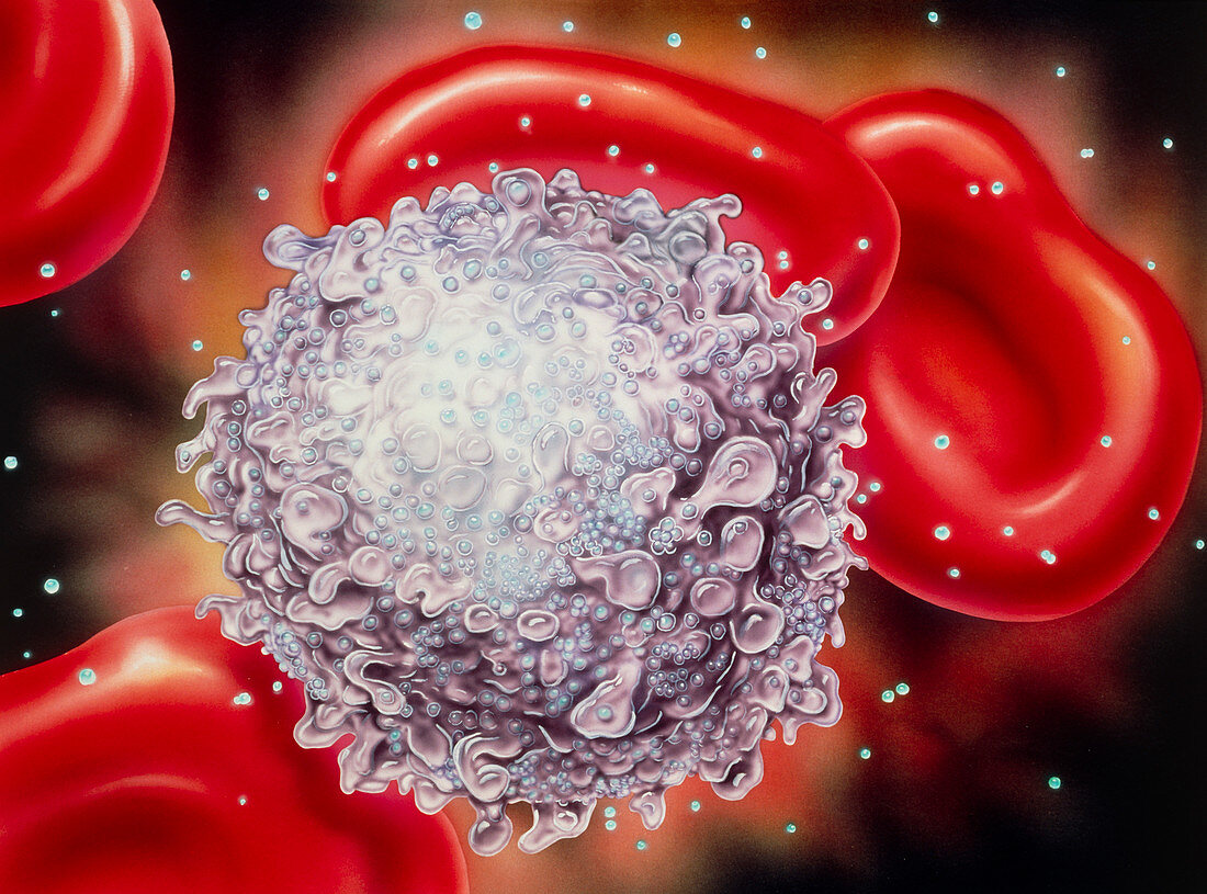 Illustration of a T-cell infected with AIDS virus