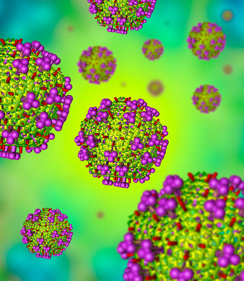 AIDS virus particles,computer artwork