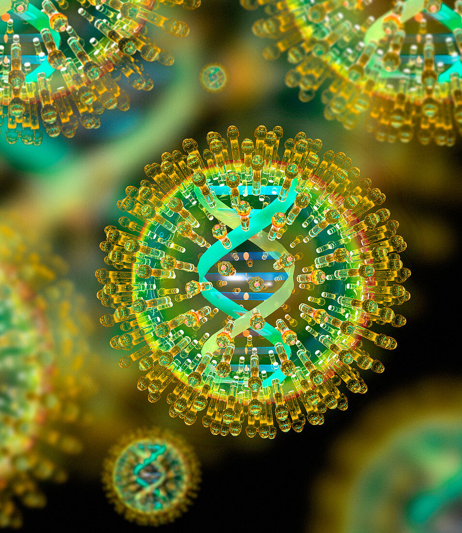 Herpes virus particles,computer artwork
