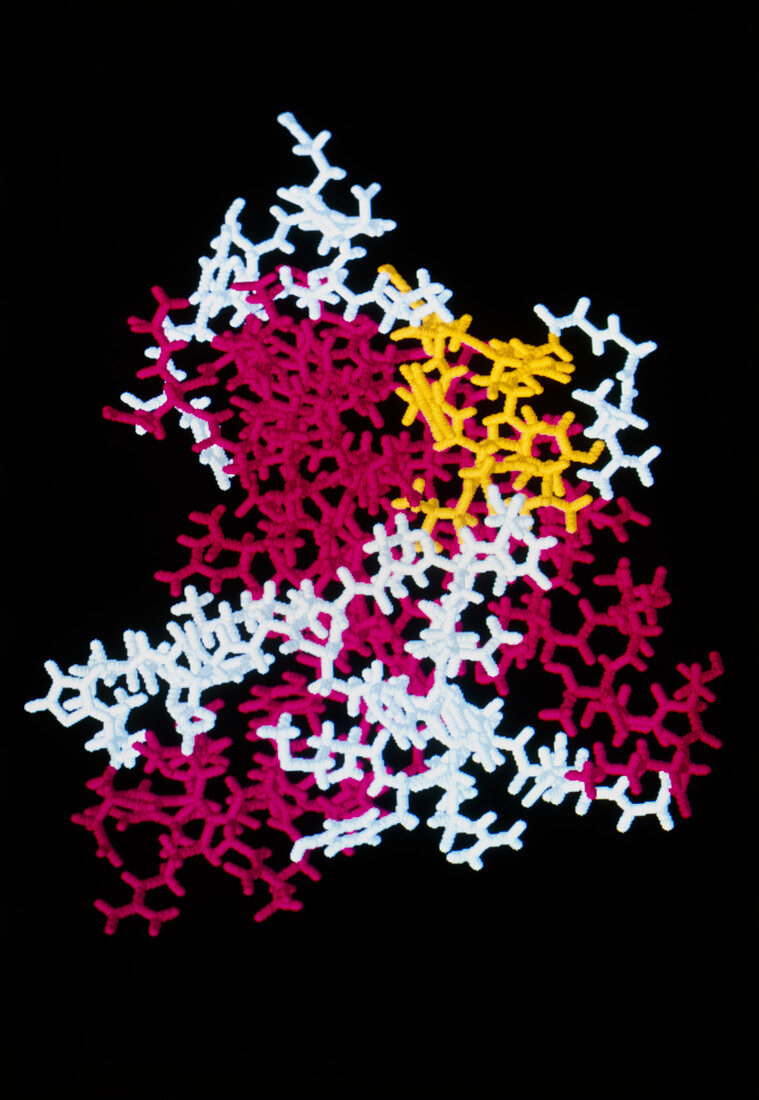Computer art of Creutzfeldt-Jakob disease prion
